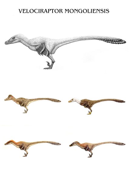 Tutorial - how to draw Blue the Velociraptor Running - Jurassic World