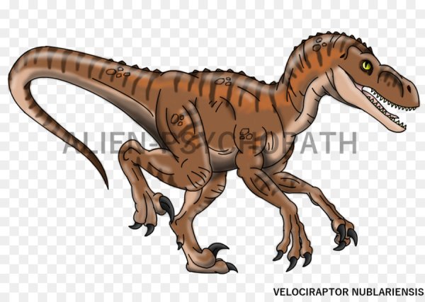 Майюнгазавр скелет