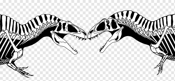 Антро Раптор