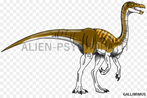 Велоцераптор арт