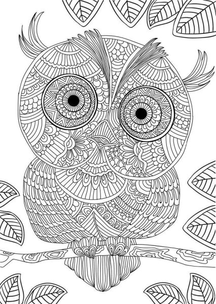 Мандала Сова