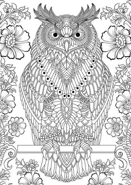 Sarnat Marjorie "Совушки"