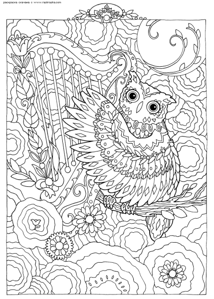 Сложные раскраски для детей
