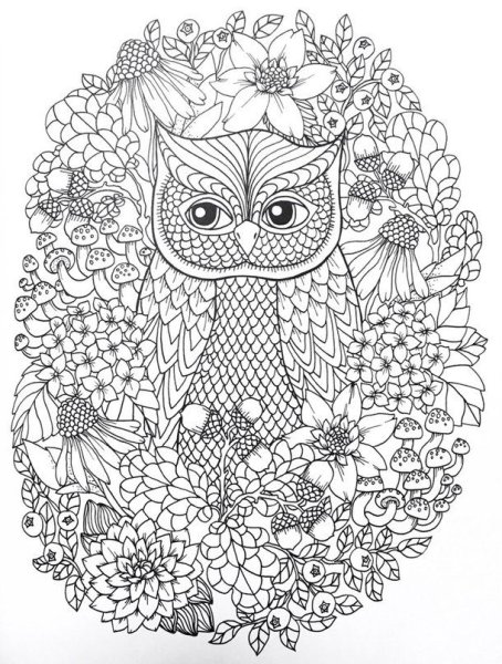 Раскраски антистресс Совушки