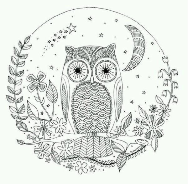 Раскраска антистресс Совенок