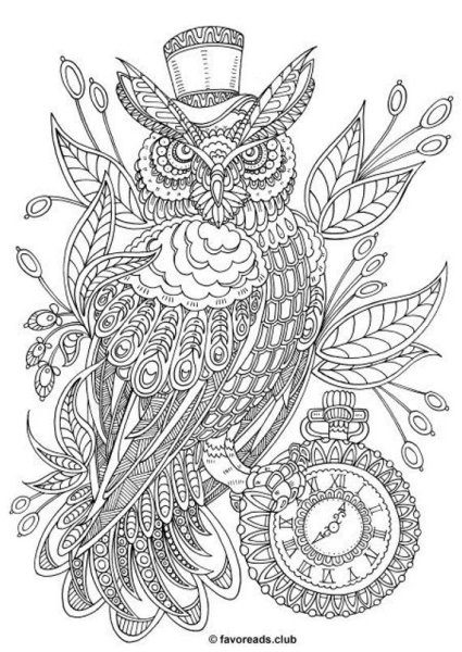 Раскраска антистресс Сова