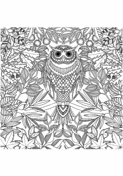 Раскраска антистресс Сова