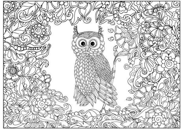 Мандала для раскрашивания Сова