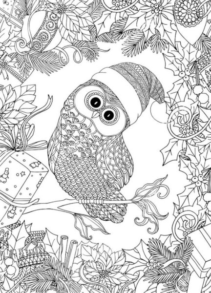 Зентаглы Сова