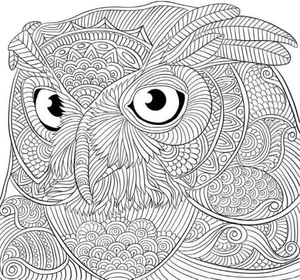 Раскраска антистресс Сова