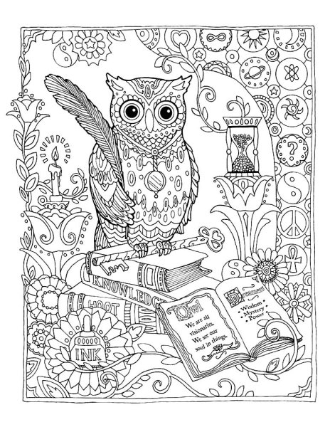 Сова из Гарри Поттера раскраска