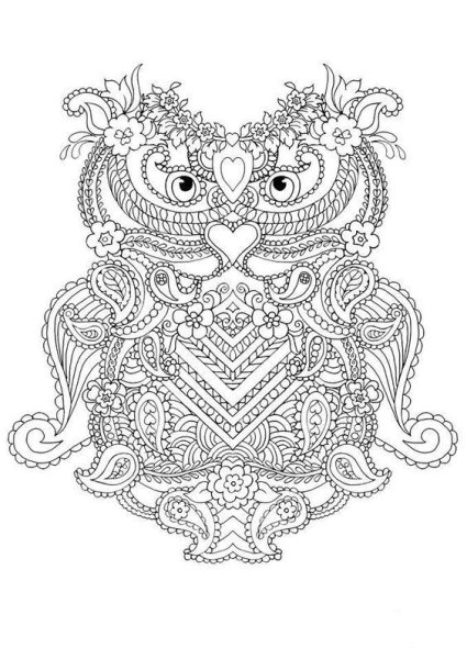 Раскраски для взрослых Сова