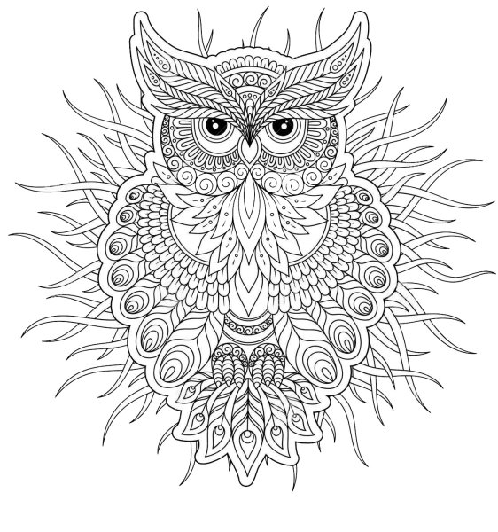 Раскраскиантистрес Совы