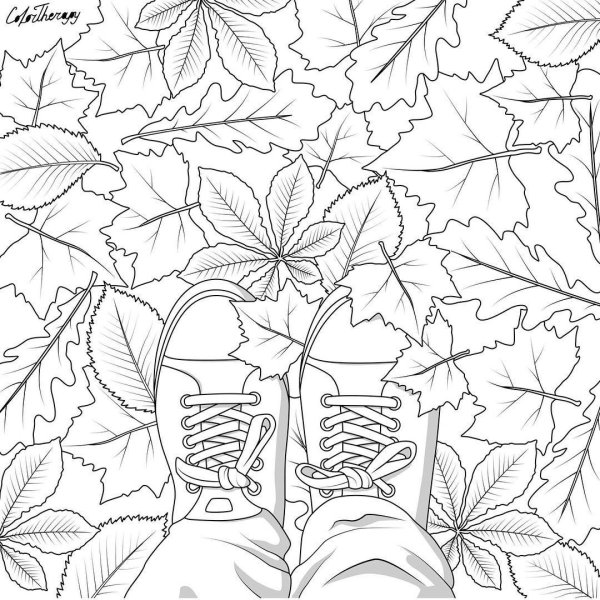 Раскраска антистресс осень