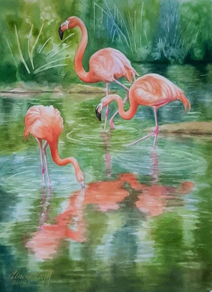 Фламинго лессировка