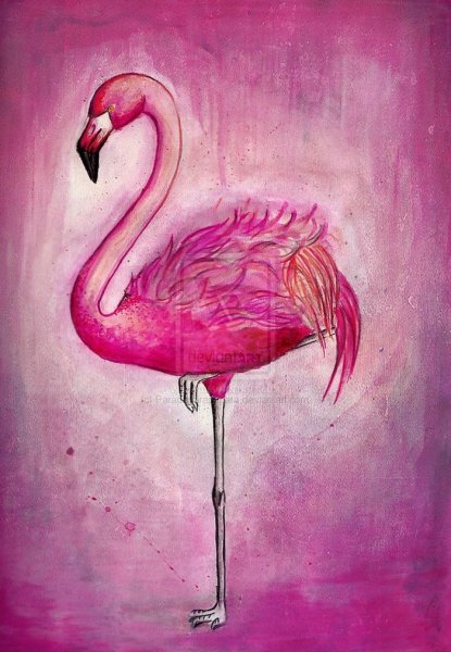 Фламинго для срисовки