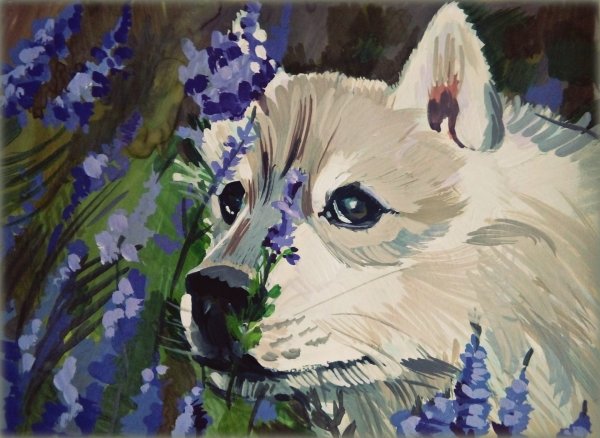 Интересные картины гуашью