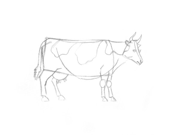 Поэтапное рисование коровы