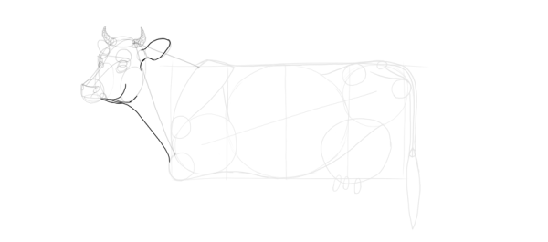 Рисунок коровы карандашом на новый год
