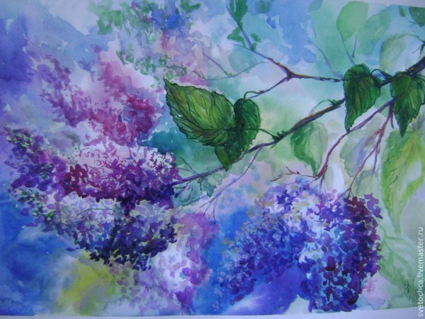 Сирень акварелью