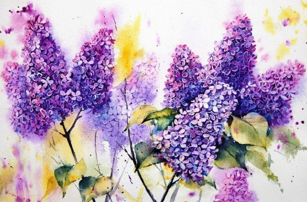 Сирень гуашью