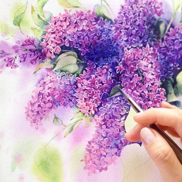 Сирень акварелью