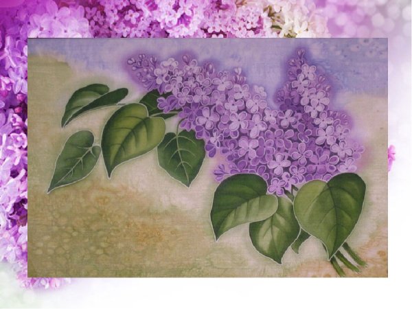 Ветка сирени рисование