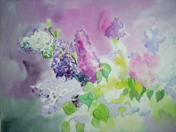 Акварель рисование сирени