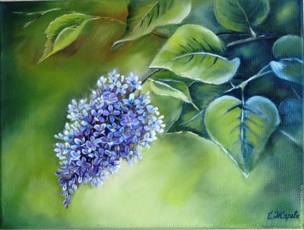 Веточки сирени живопись