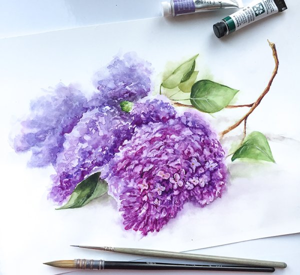 Сирень акварелью мастер класс