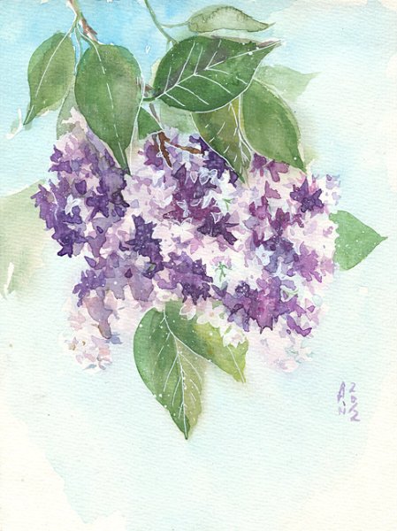 Анастасия Беседина акварель сирень