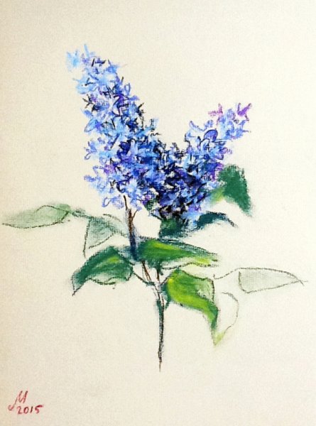 Сирень акварельными карандашами