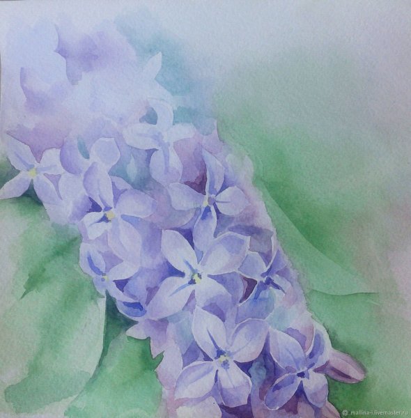 Акварельная сирень