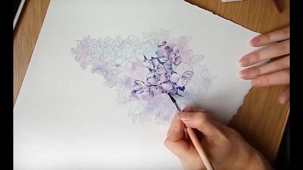 Нарисовать сирень акварелью поэтапно