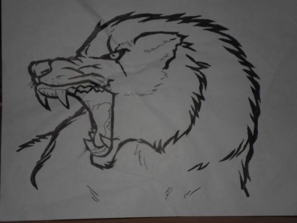 Поэтапное рисование злого волка
