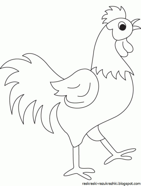 Петух раскраска для детей