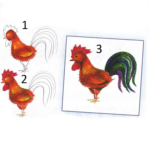 Поэтапное рисование петушка