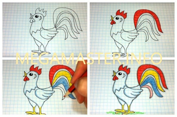 Поэтапное рисование петушка
