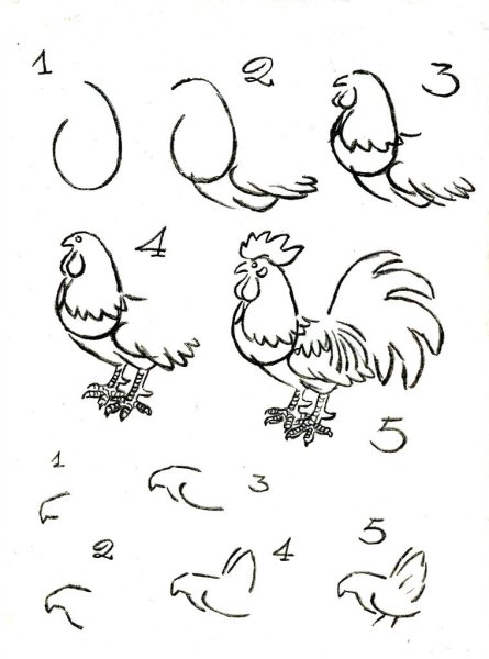 Нарисовать петуха легко