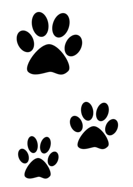 Трафарет лапки