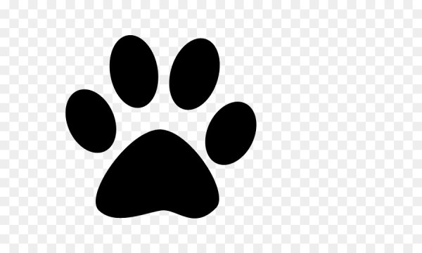 Трафарет лапки на стену