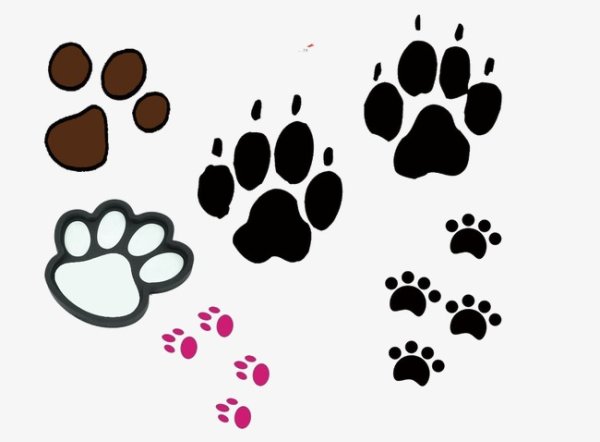 Отпечаток кошачьей лапы на бумаге