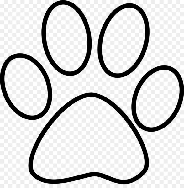 Лапки нарисованные