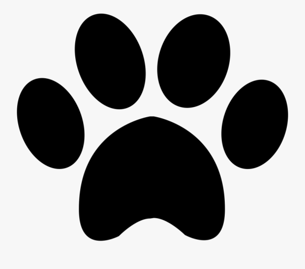 Отпечаток лапки собачки