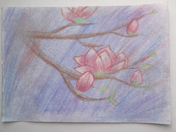 Пастельные зарисовки