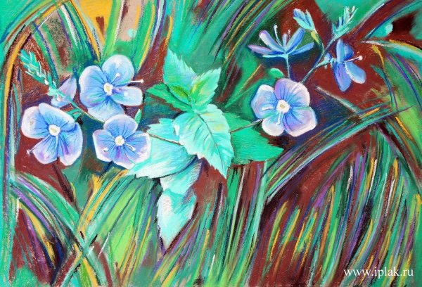 Масляная пастель для начинающих