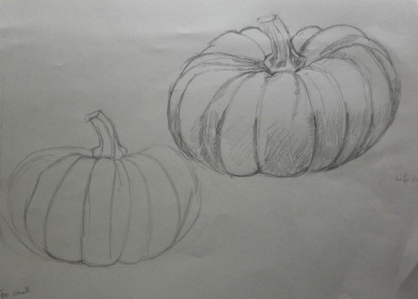 Тыква цветными карандашами