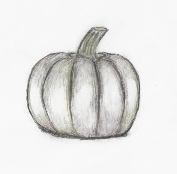 Тыква рисунок карандашом