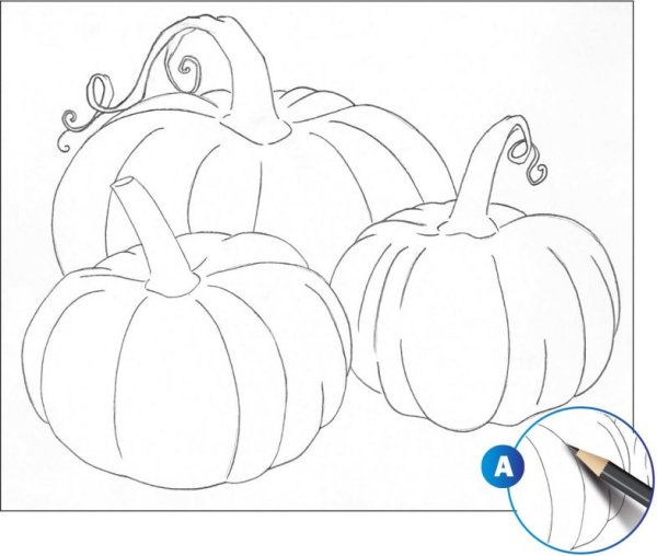 Поэтапное рисование тыквы