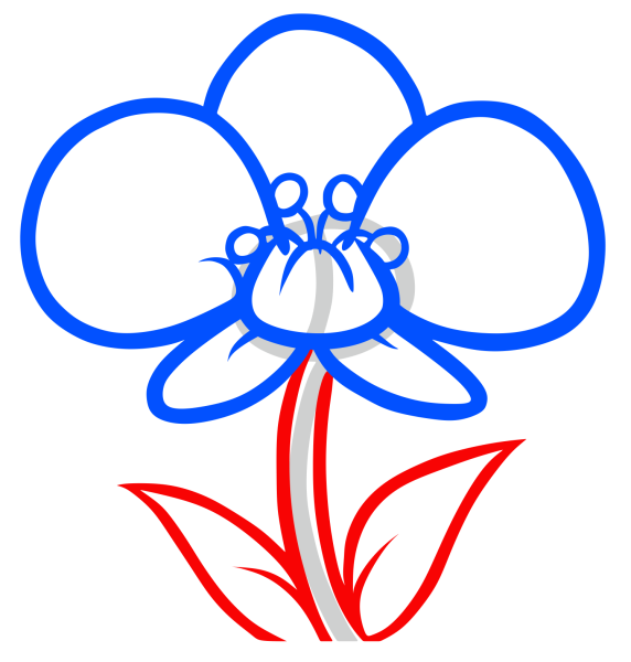 Лист орхидеи карандашом